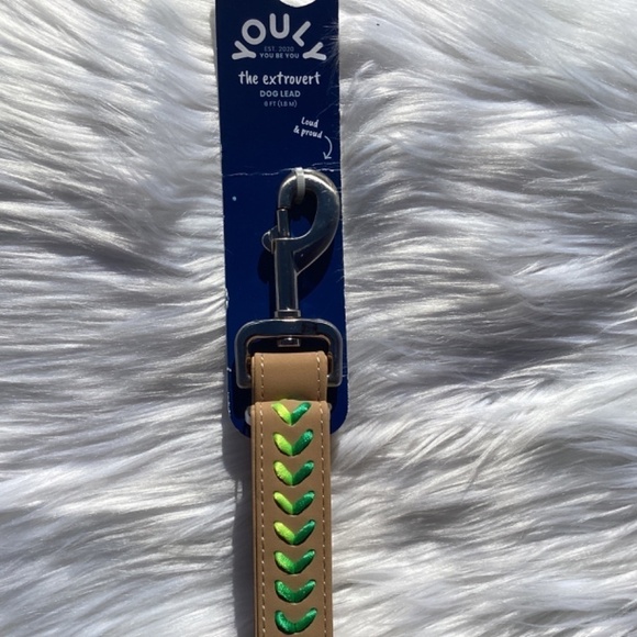 NWT Youly Vegan Leather Set Rainbow Braided Tan Collar and Leash - Picture 4 of 13